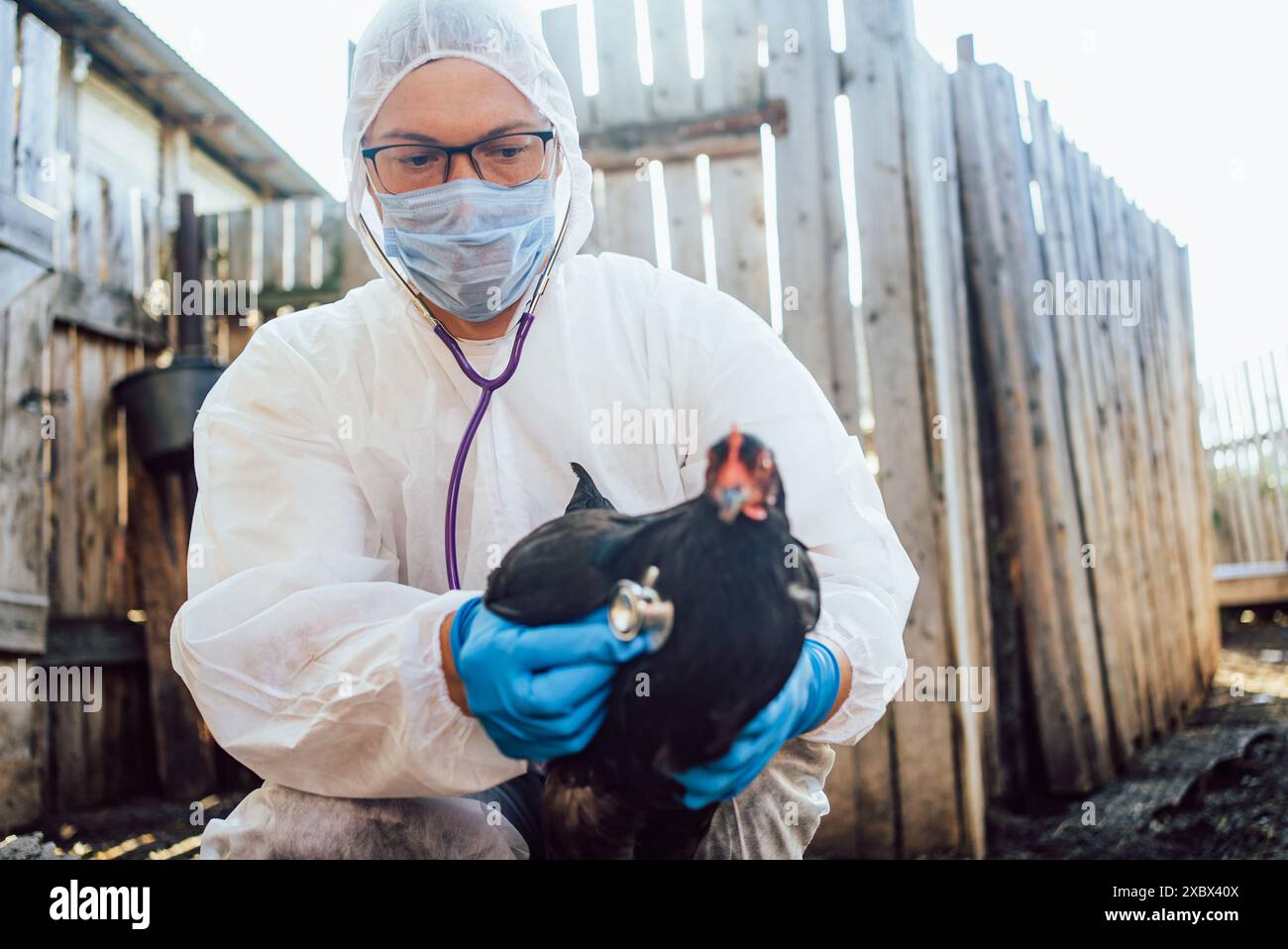 Biosecurity farm hi-res stock photography and images - Alamy