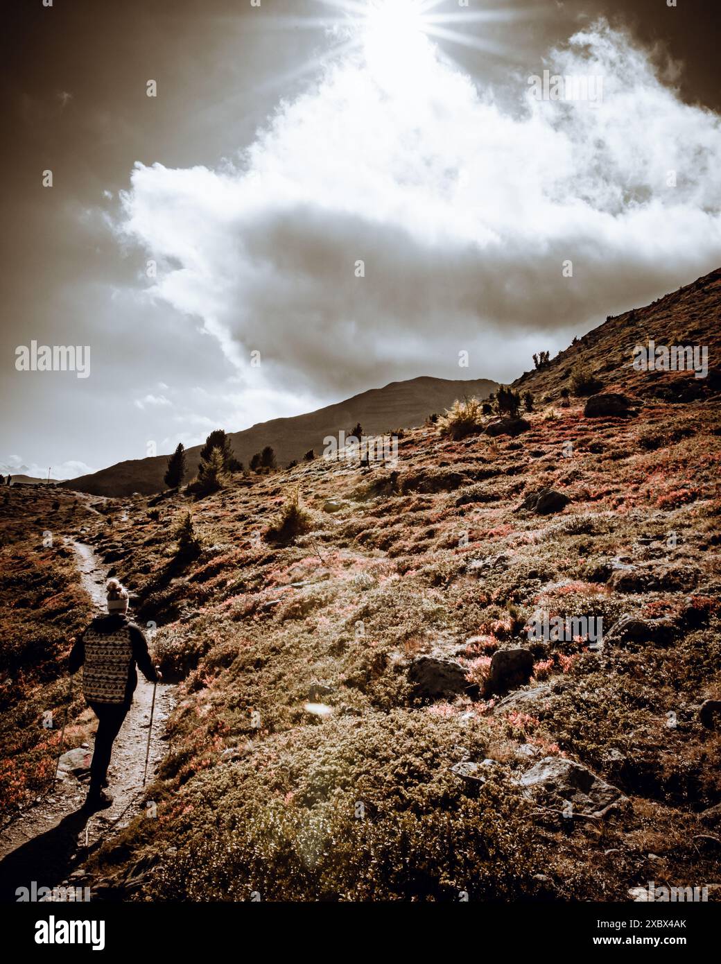 landscape, nature, summer, autumn, wallpaper, clouds, trees, forest ...