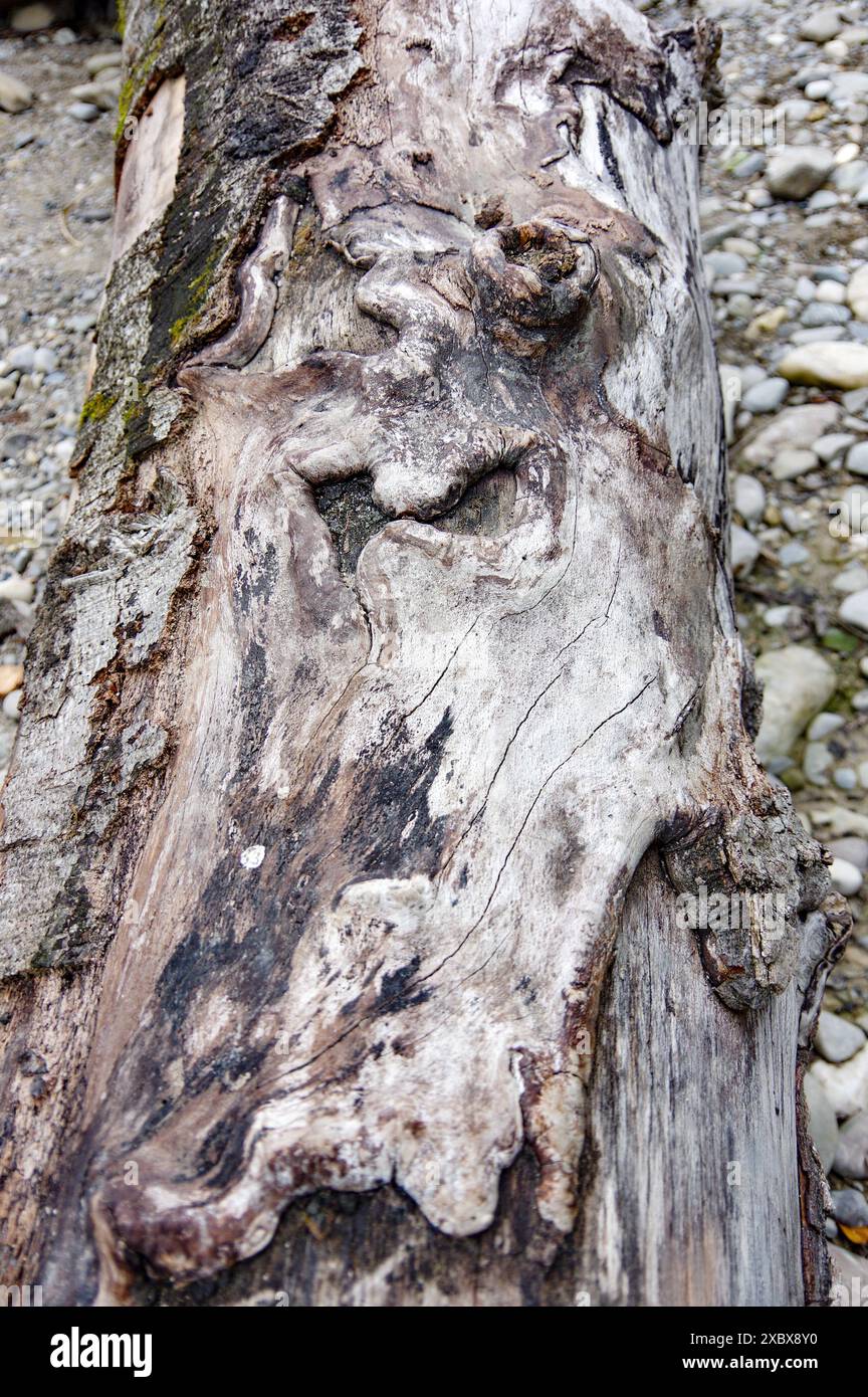 landscape, nature, summer, autumn, wallpaper, clouds, trees, forest ...