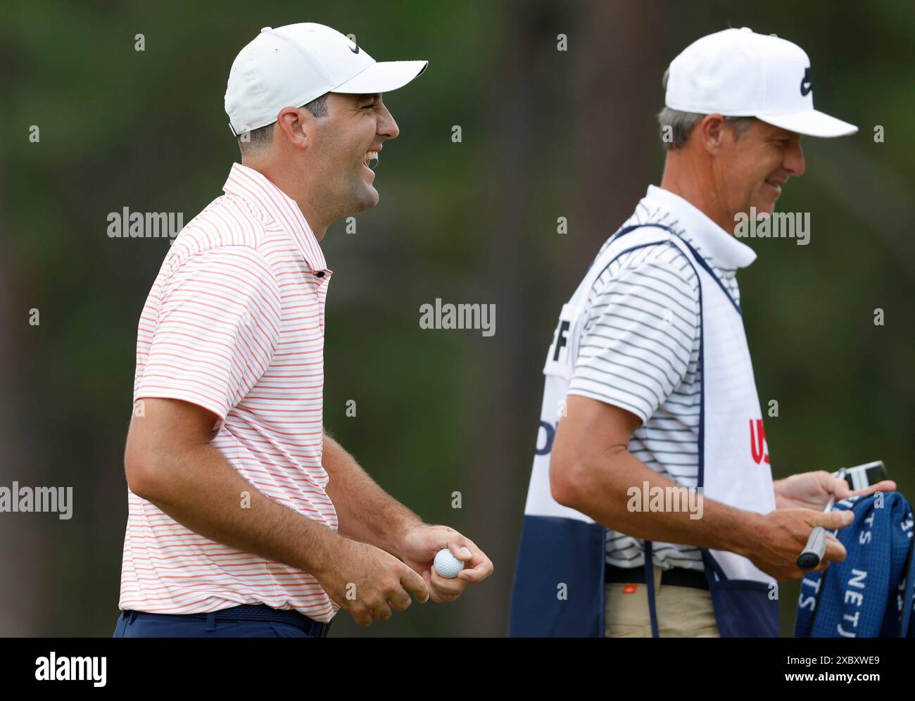 Ichkaridan tashqari dik, mushuk va eshak