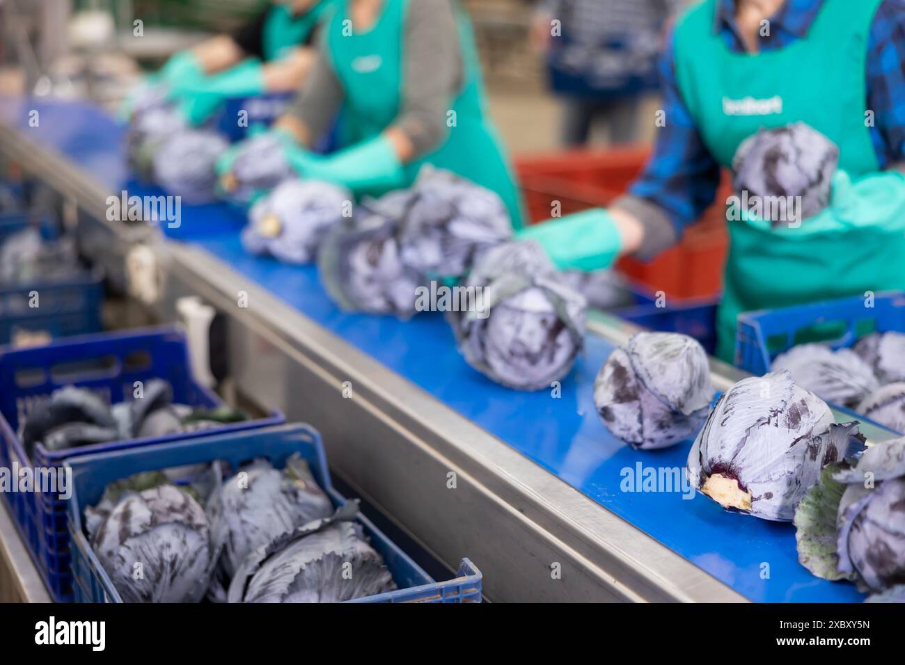 Factory freshness hi-res stock photography and images - Alamy