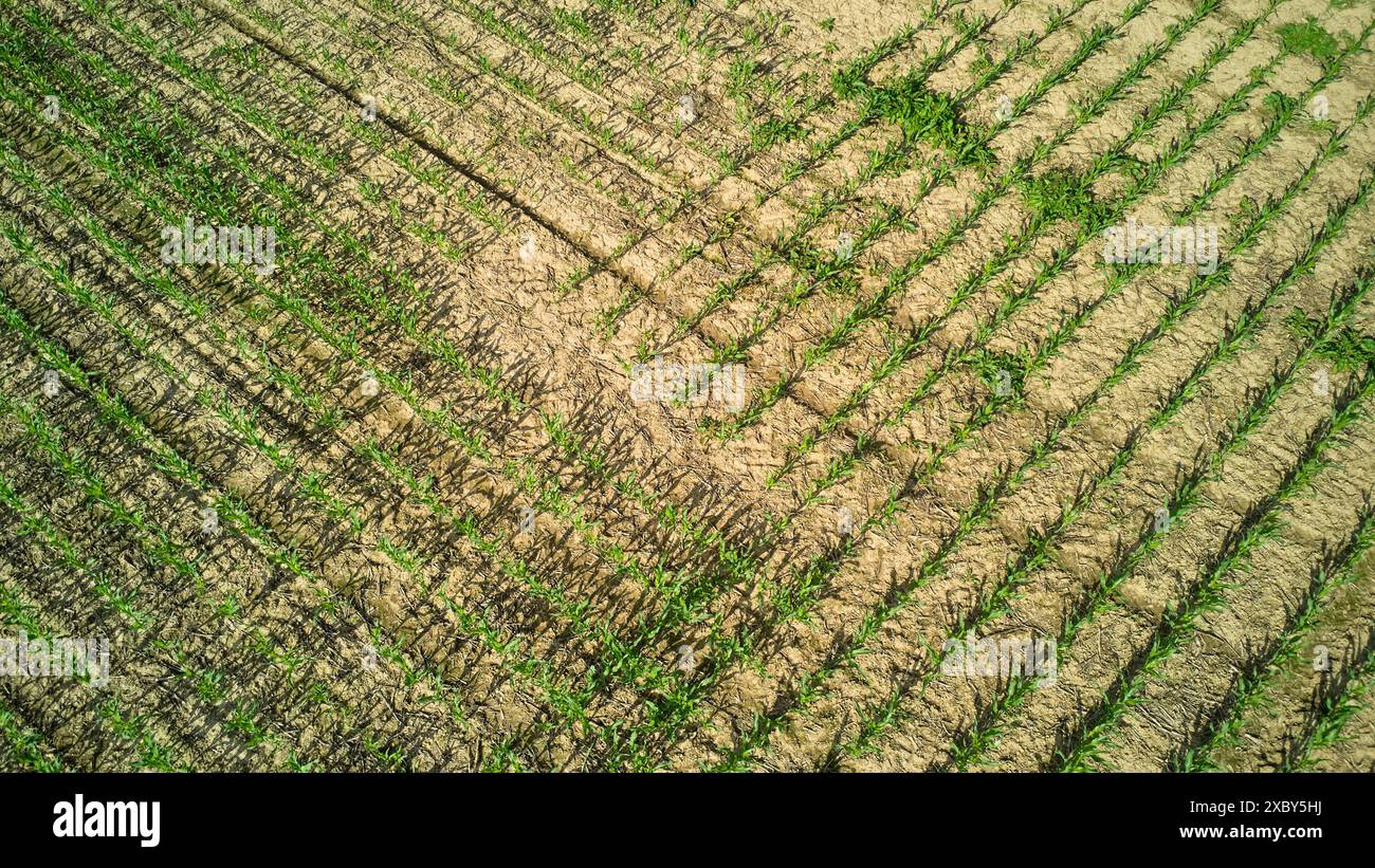 Boden mit erde hi-res stock photography and images - Alamy