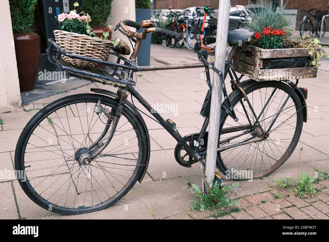 Old vintage city bicycle hi-res stock photography and images - Alamy
