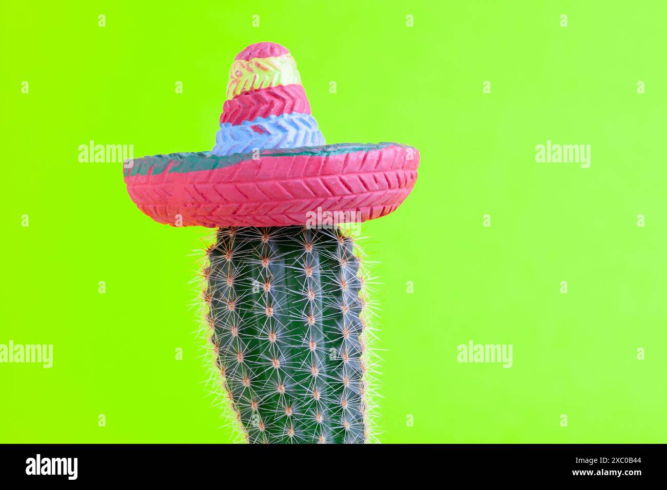 Mexican sombrero cactus hi-res stock photography and images - Alamy