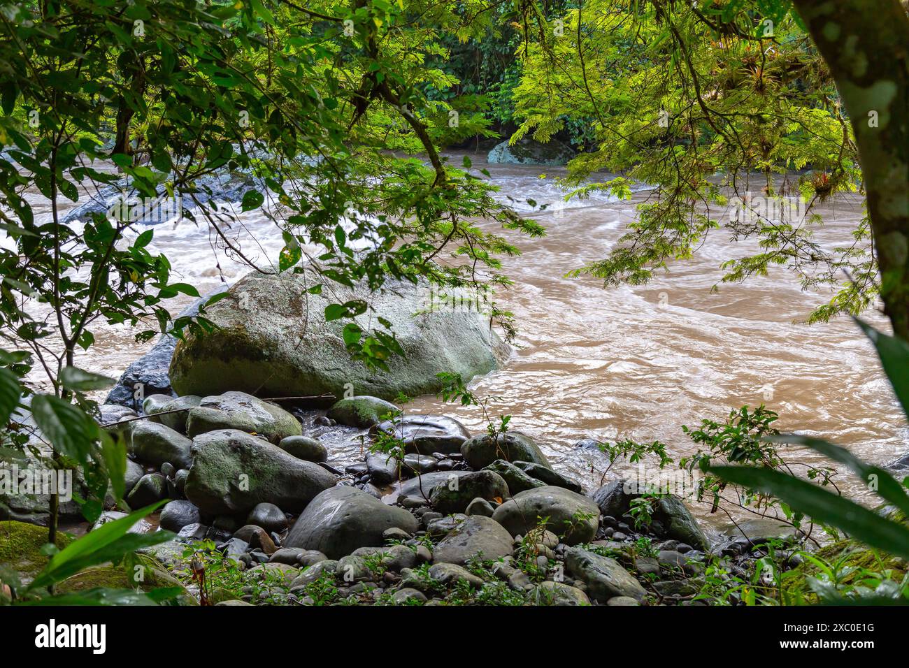 Paisaje compuesto por vegetación, rocas redondeadas y caudaloso río en sus orillas Stock Photo