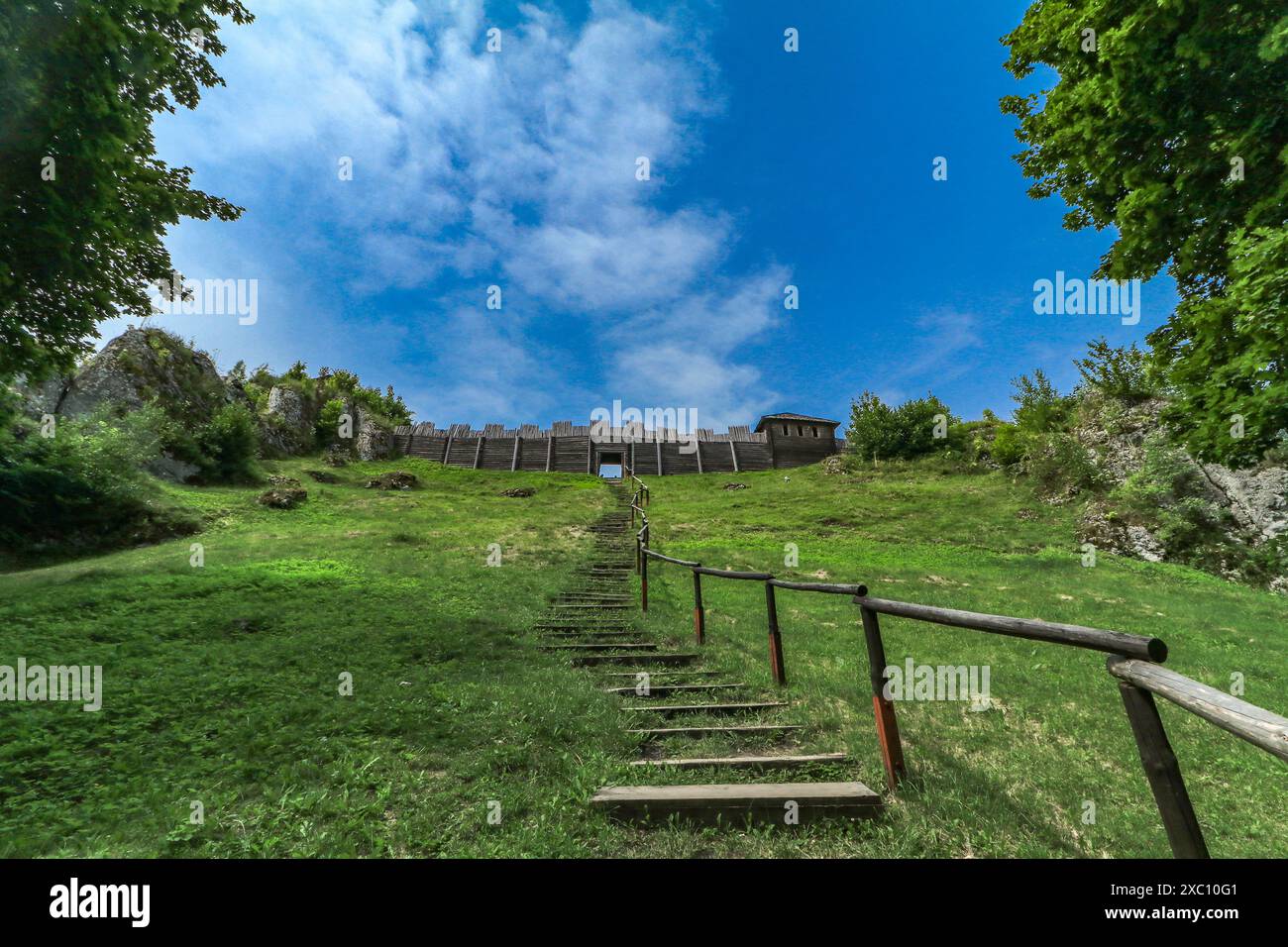 Gallery image with a fresh perspective