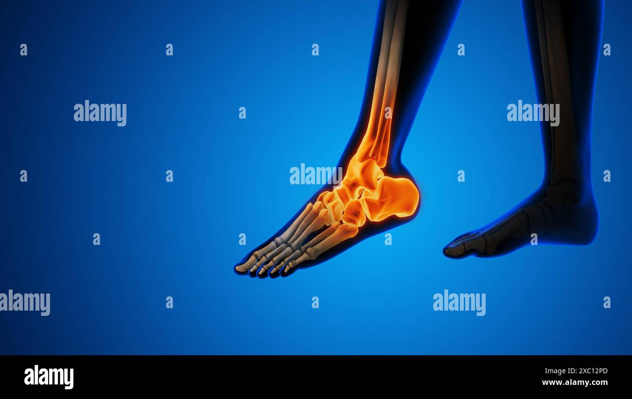 Pain in the ankle joint Stock Photo - Alamy