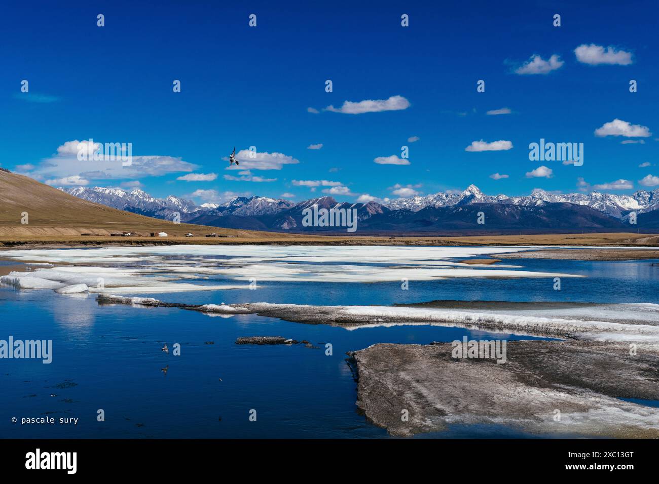 mongolia-khovsgol-and-tsaatan-north-of-mongolia-stock-photo-alamy