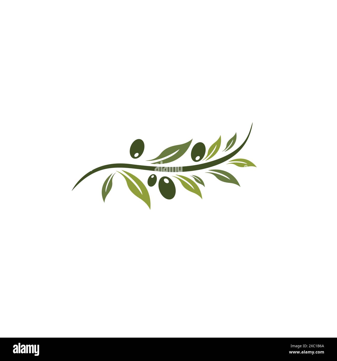olive icon vector illustration. olive logo Stock Vector