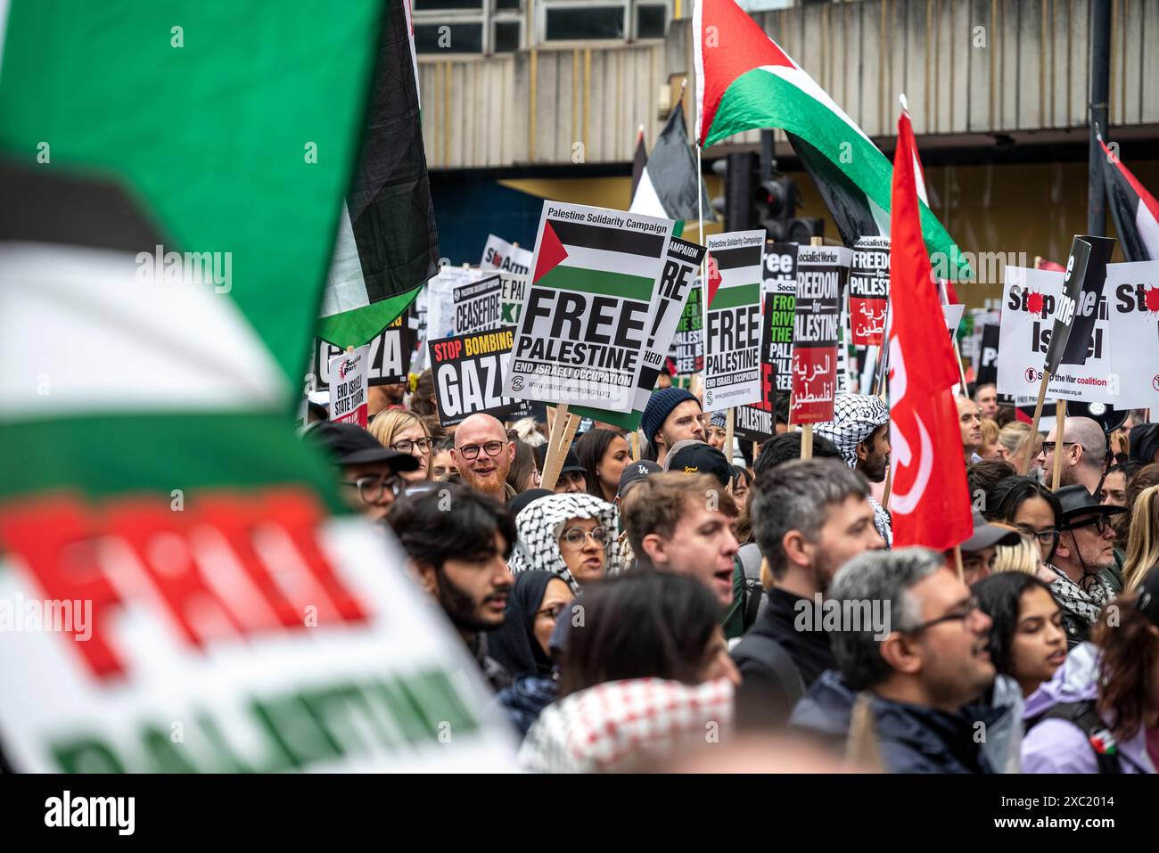 Pro-Palestinian protest in Central London on 08/06/2024, London, England, UK Stock Photo