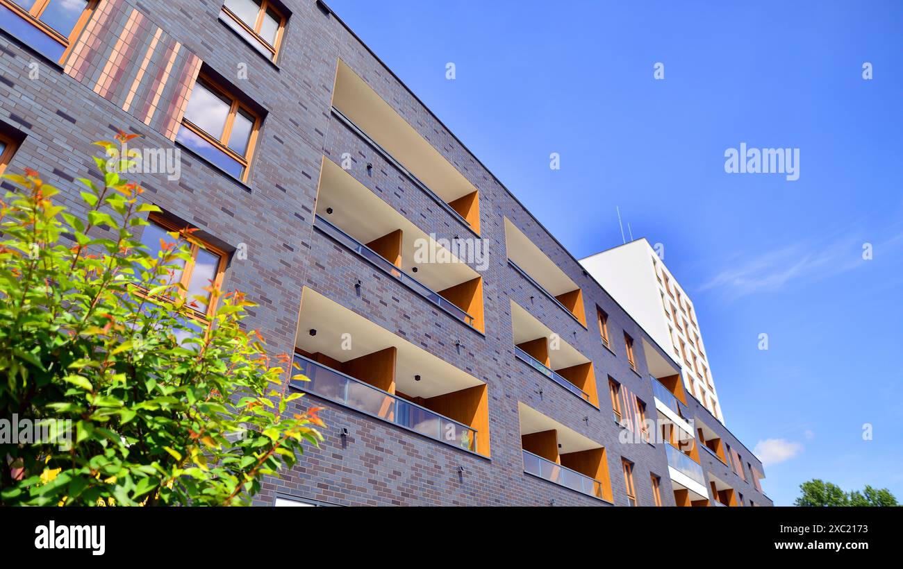 Gallery image with a fresh perspective