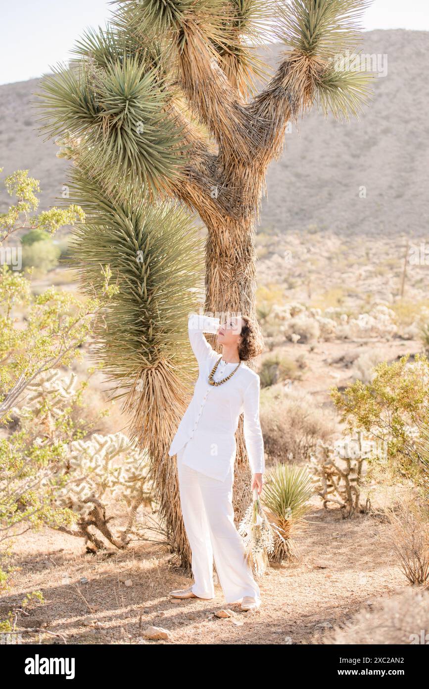 Person standing in middle desert hi-res stock photography and images ...