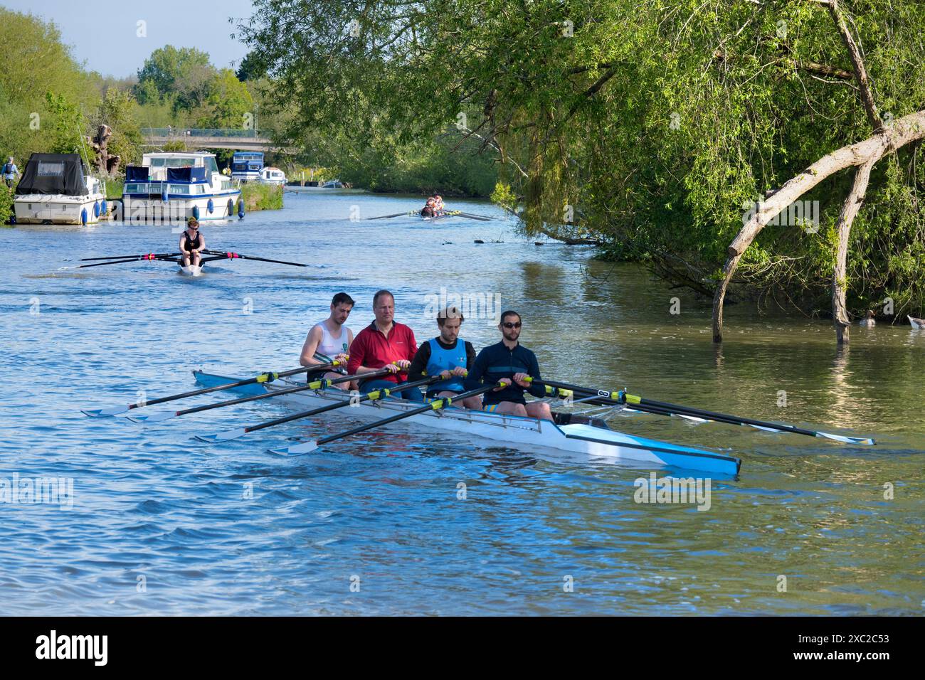 Team Rowing Thames Rowing teams on the Thames by Iffley Lock and downstream of Oxford. It ...