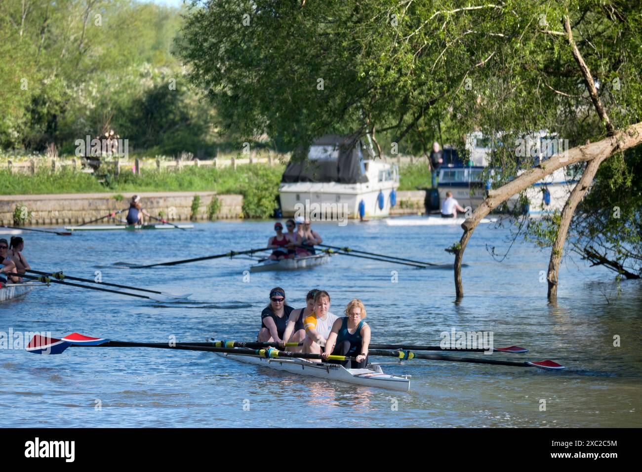 Team Rowing Thames Rowing teams on the Thames by Iffley Lock and downstream of Oxford. It ...
