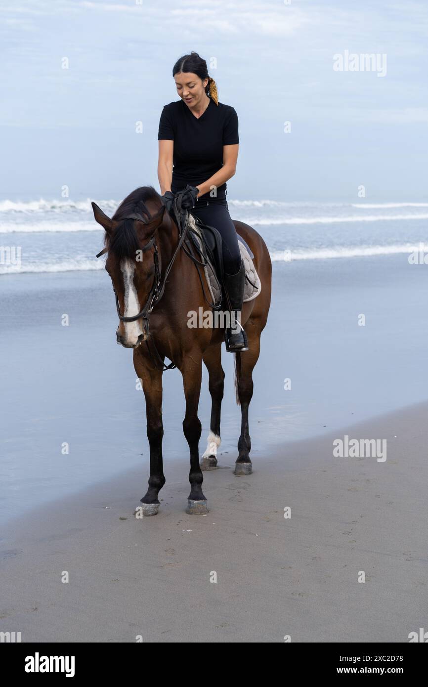 Young woman riding a horse on the beach at the ocean Stock Photo - Alamy