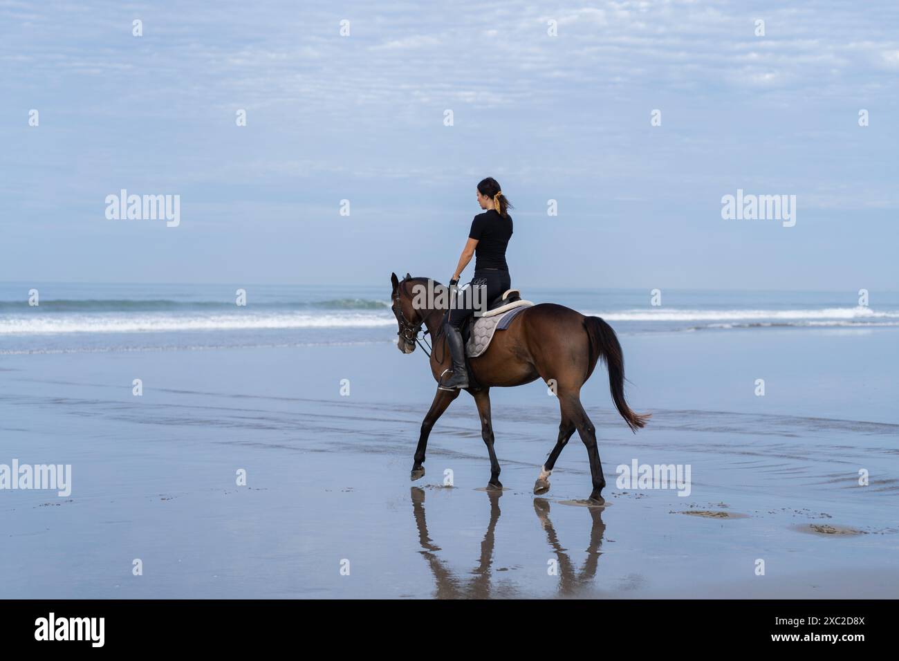 Young woman riding a horse on the beach at the ocean Stock Photo - Alamy