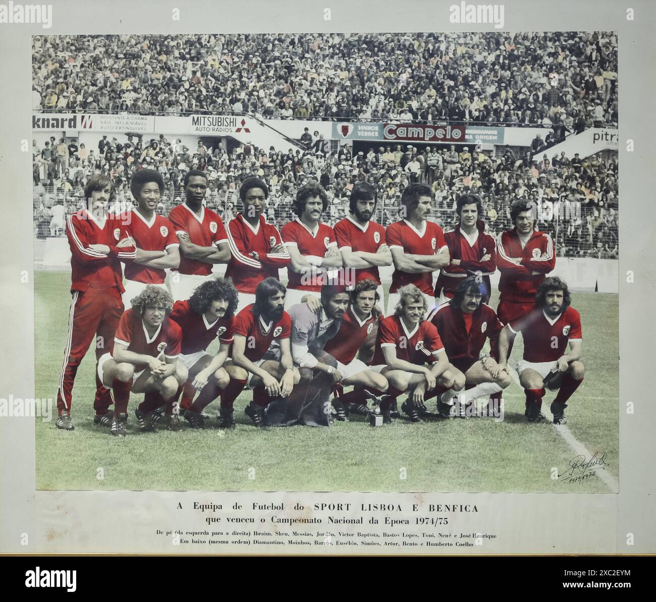 Carte Postale Benfica Lisbonne – Saison 1974-1975, Vintage, état Impeccable