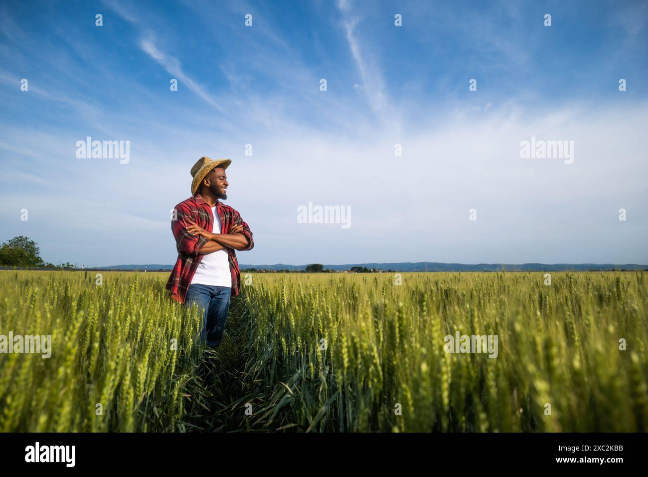 African american farmer in wheat field hi-res stock photography and ...