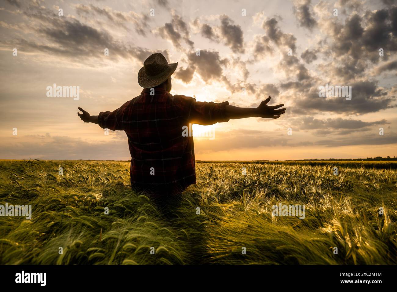 Silhouette of a happy farmer with arms outstretched standing in his ...