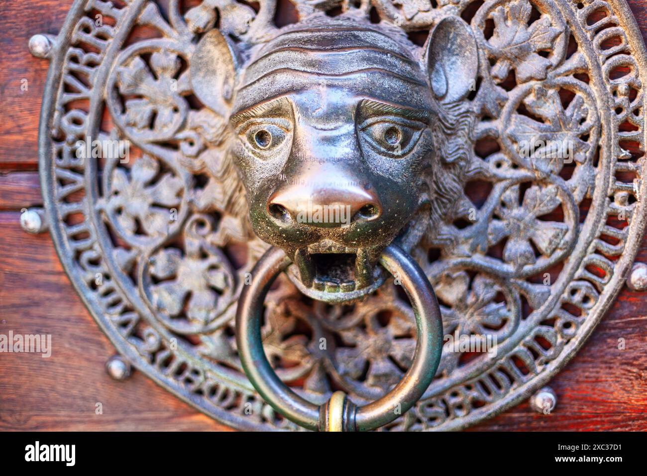 vintage metal door knocker with intricate design. Monster forged face knocker Stock Photo