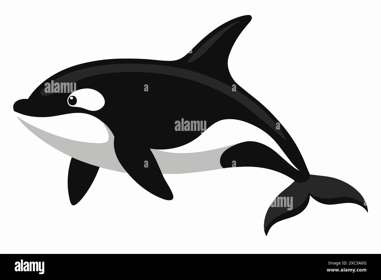 Black and white killer whale isolated on a white background. Concept of ...