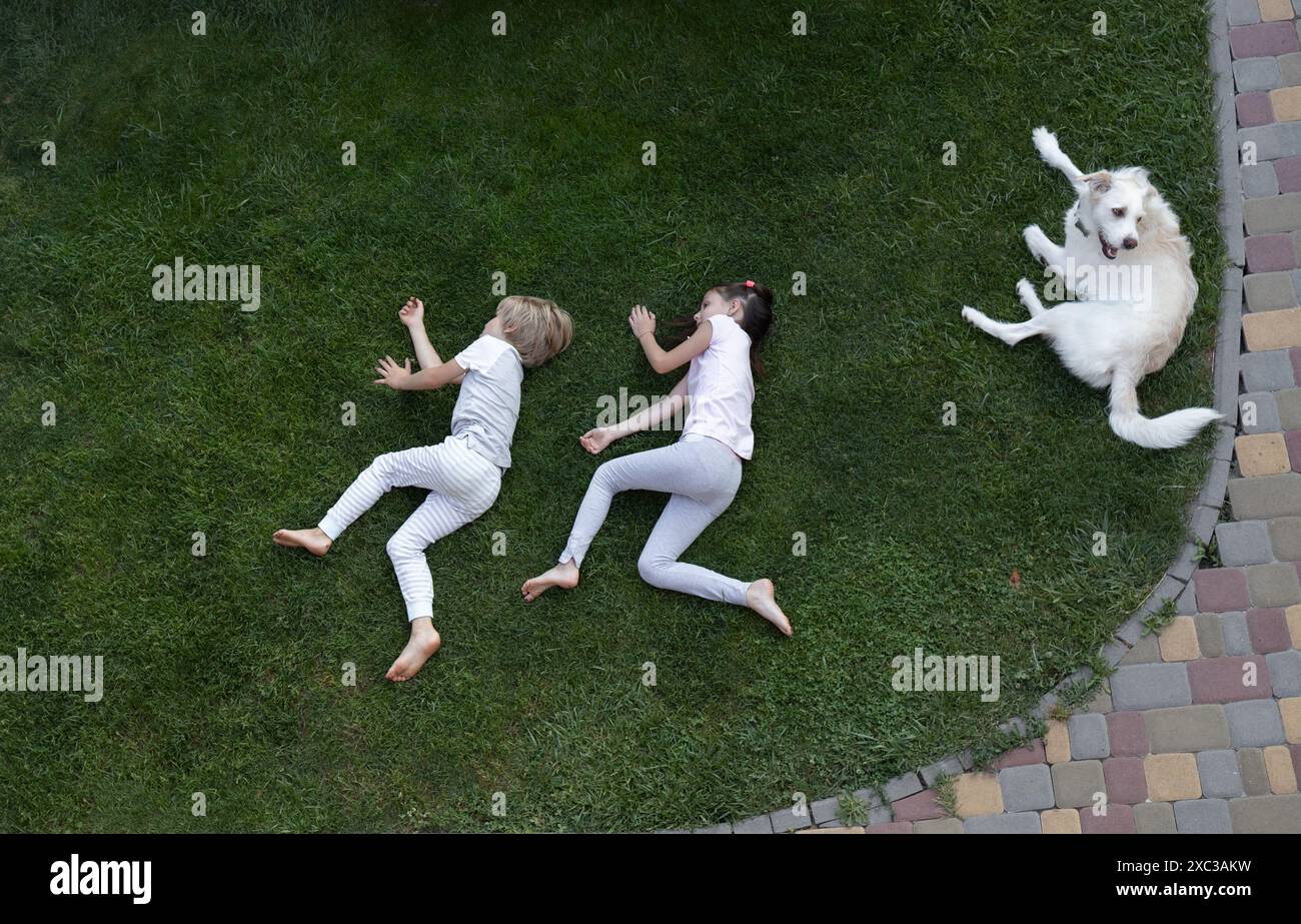 Two children, brother and sister or friends, and a dog are lying on the grass. view from above Stock Photo
