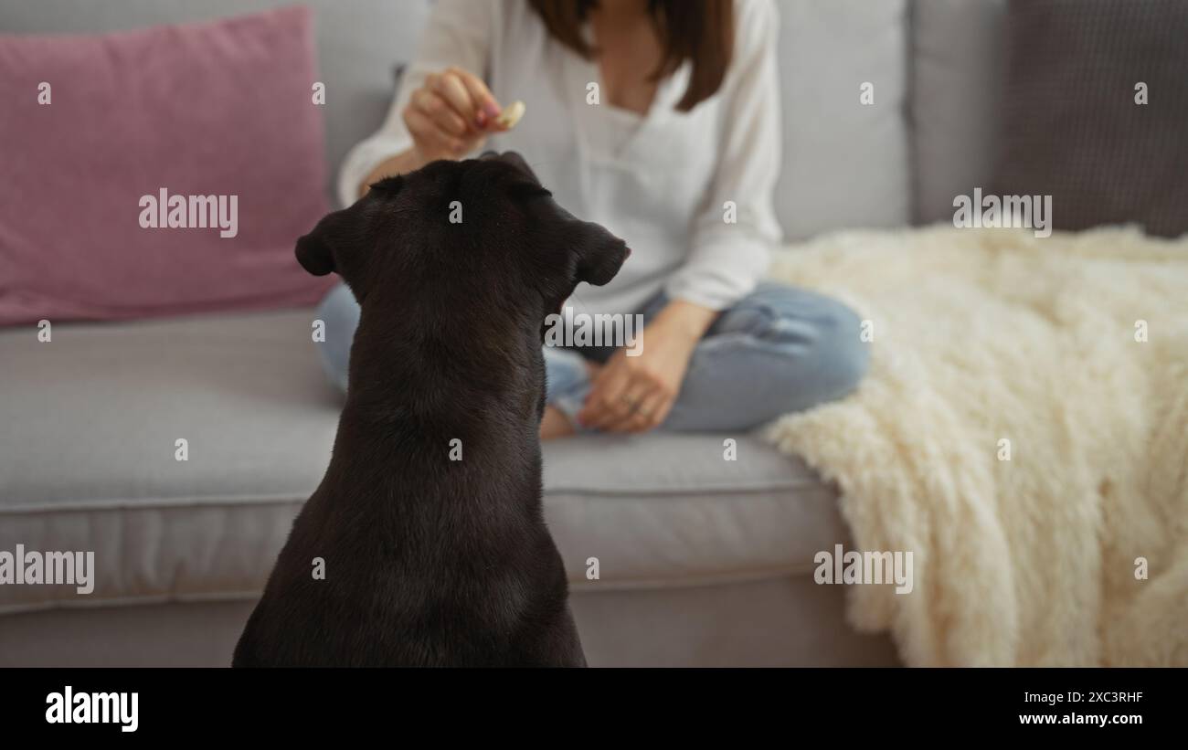 A woman sitting on a couch in an urban apartment training her black ...