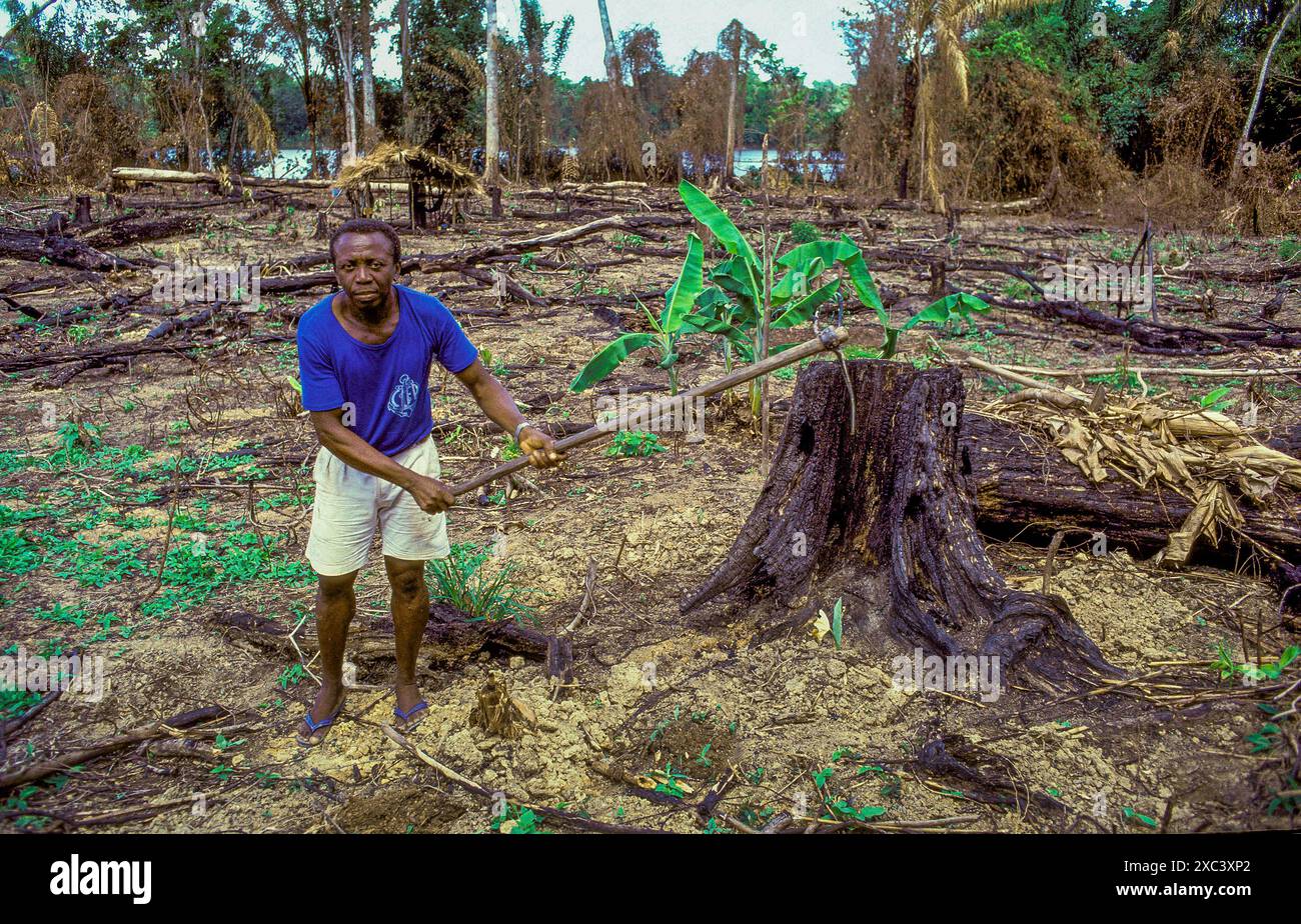 Suriname - Slash and burn of the rainforest happens often in this part of the Amazone region to gain agricultural land. Stock Photo