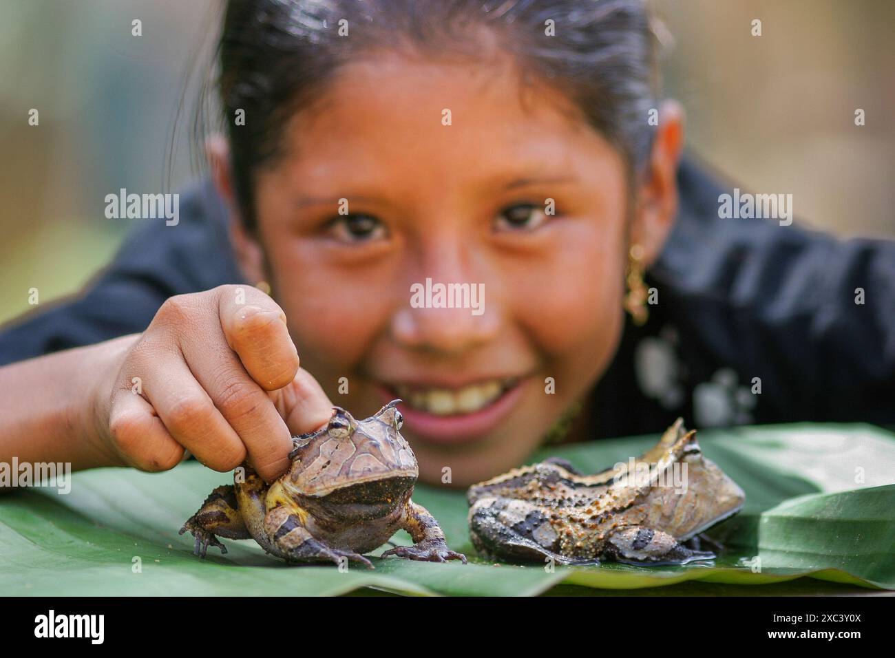 Suriname, Tepu. A girl of the Trio tribe is playing with endangered