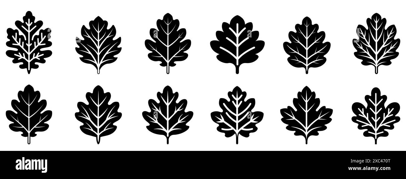 Oak leaf icon. Set of oak leaves icons. Leaf vector icons. Black leaves ...