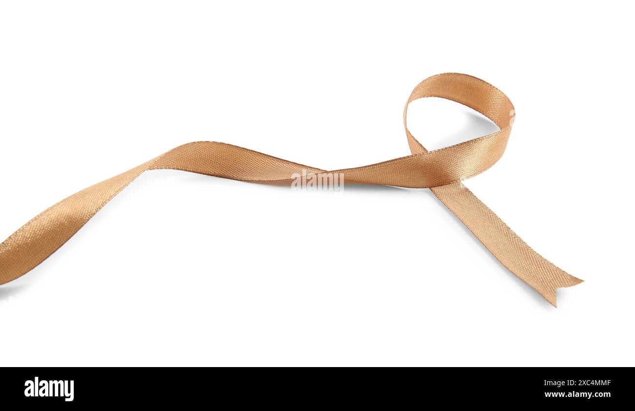 One beautiful light brown ribbon isolated on white Stock Photo - Alamy