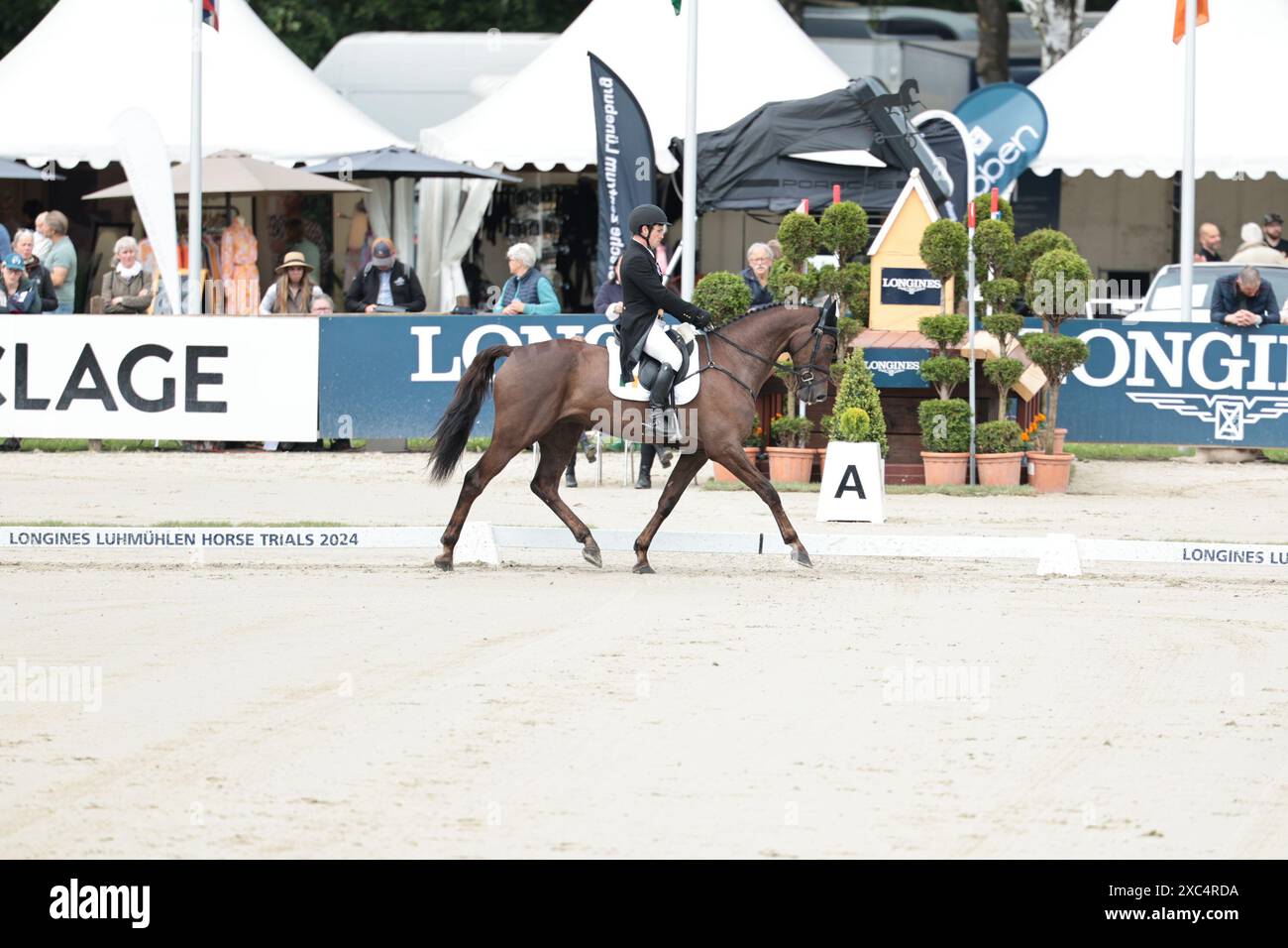 Patrick Whelan of Ireland with Ikoon Lan during the CCI5* dressage at the Longines Luhmuhlen Horse Trials on June 14, 2024, Luhmuhlen, Germany (Photo by Maxime David - MXIMD Pictures) Stock Photo