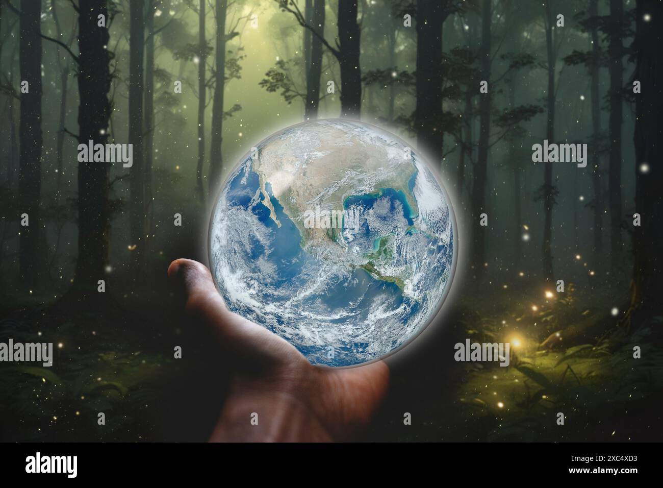 Hand holding glowing crystal Earth brings enchanted forest to life with fireflies background. Elements of this image used with permission from NASA (h Stock Photo
