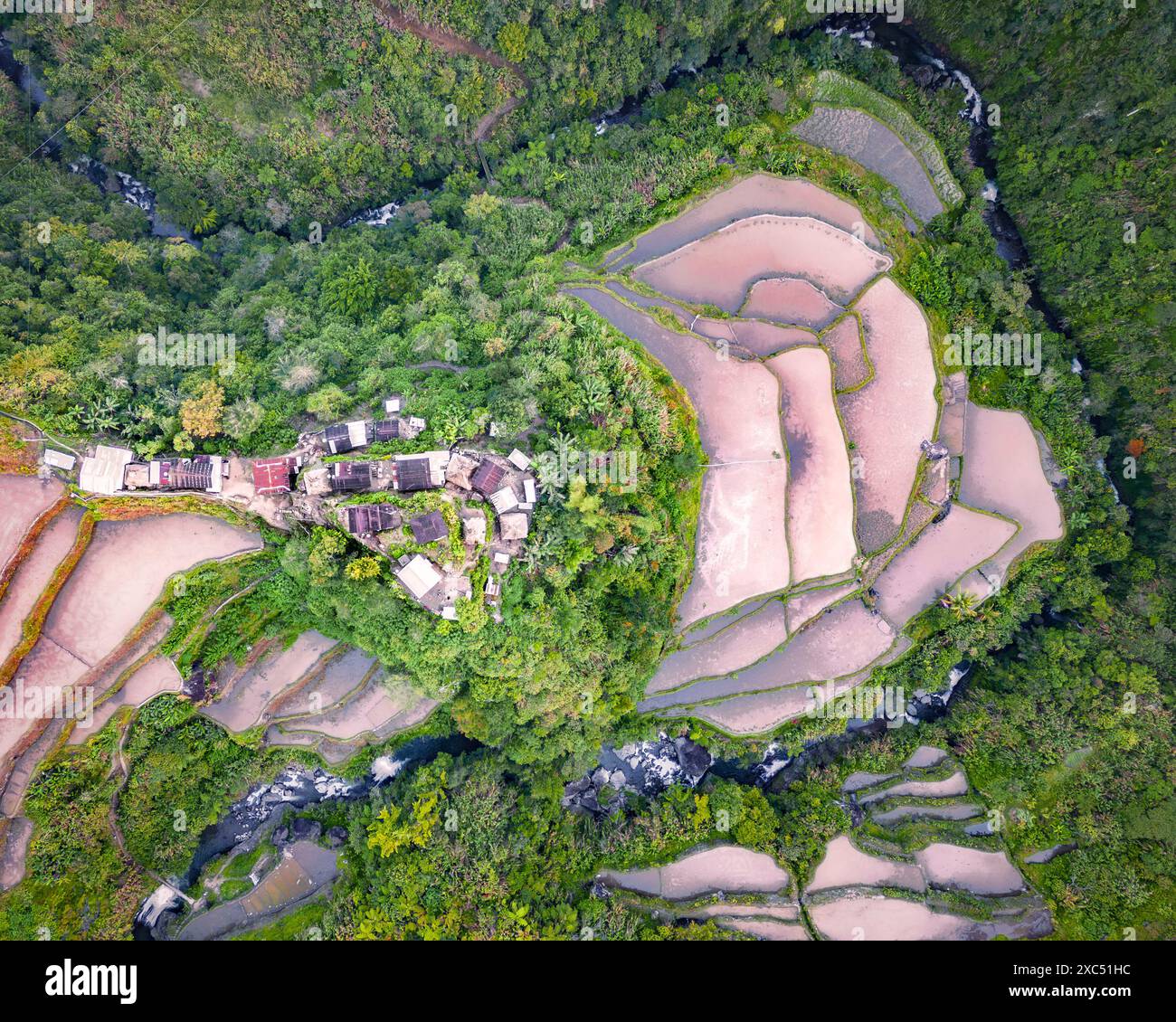 Aerial view of rice terraces in Banaue, Philippines Stock Photo - Alamy