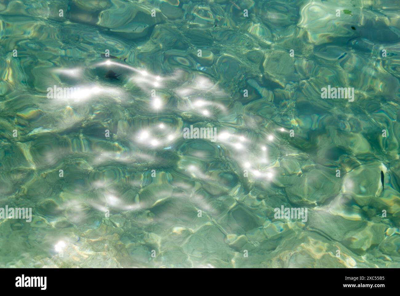 Water surface with sunlight reflection and fish Stock Photo - Alamy