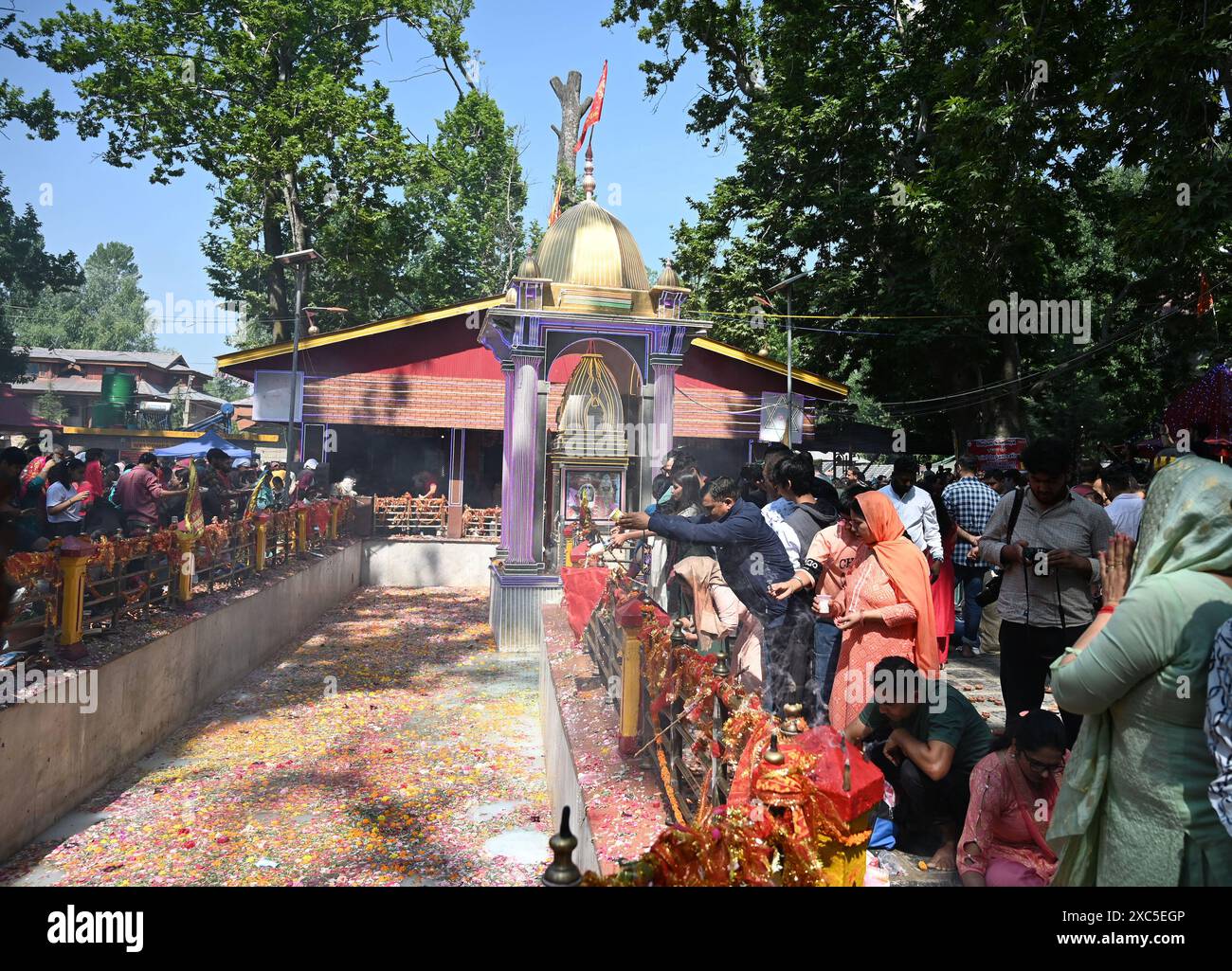 Ganderbal, India. 14th June, 2024. GANDERBAL, INDIA JUNE 14 Kashmiri