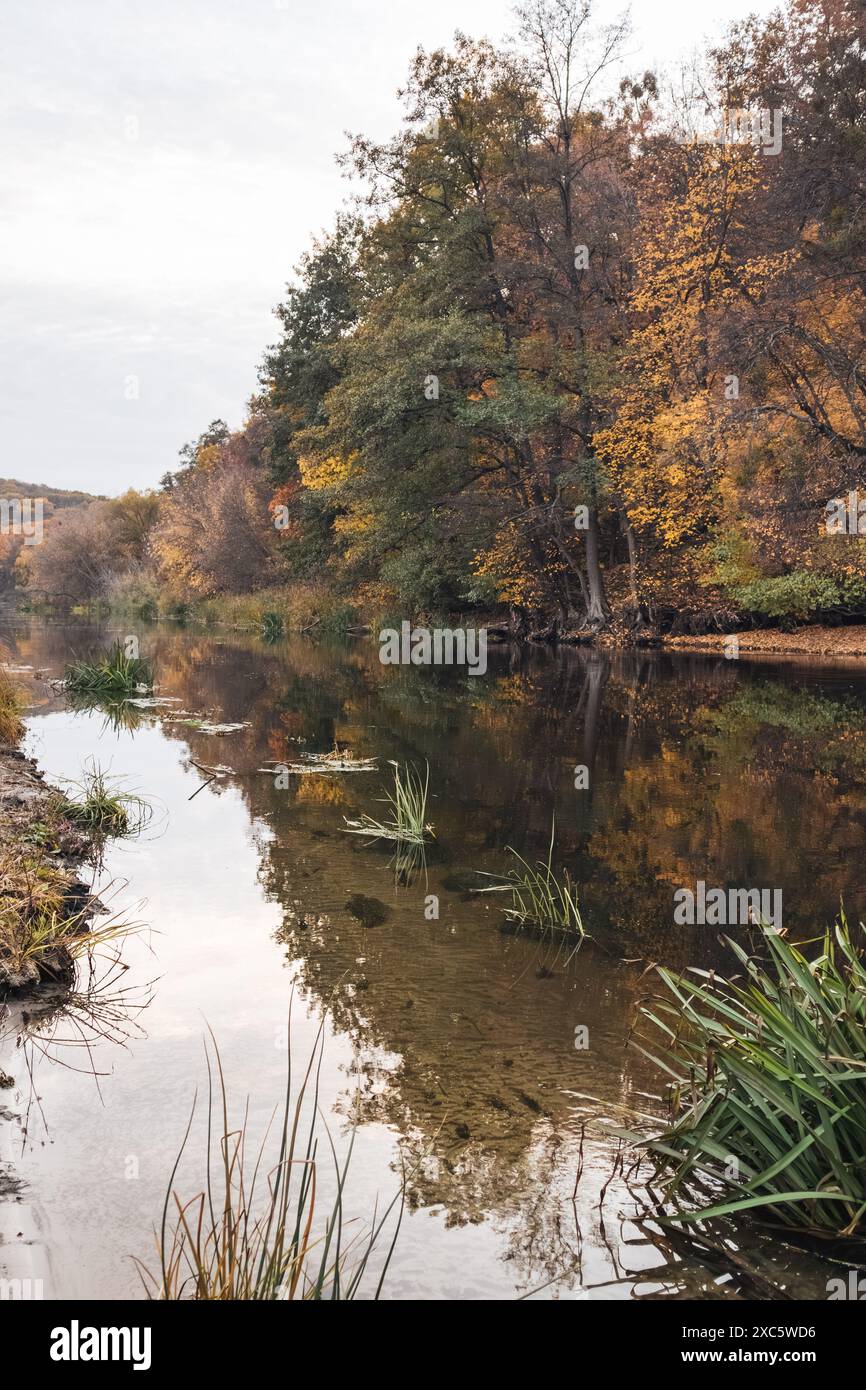 Untouched river scene hi-res stock photography and images - Alamy
