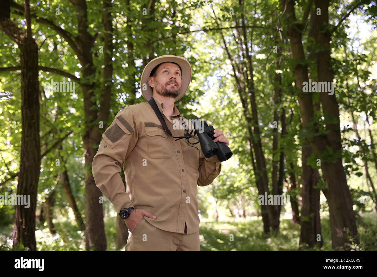 Forester with binoculars examining plants in forest Stock Photo