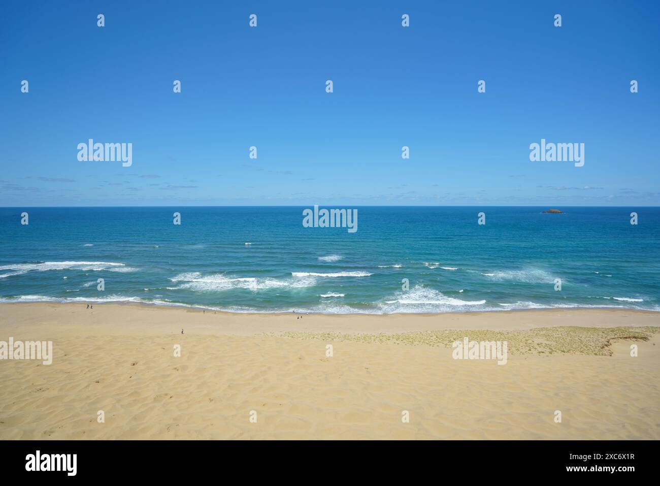 Tottori Sand Dunes landscape with rolling sand dunes under a clear, vibrant blue sky. The horizon shows the endless stretch of sand meeting the blue s Stock Photo