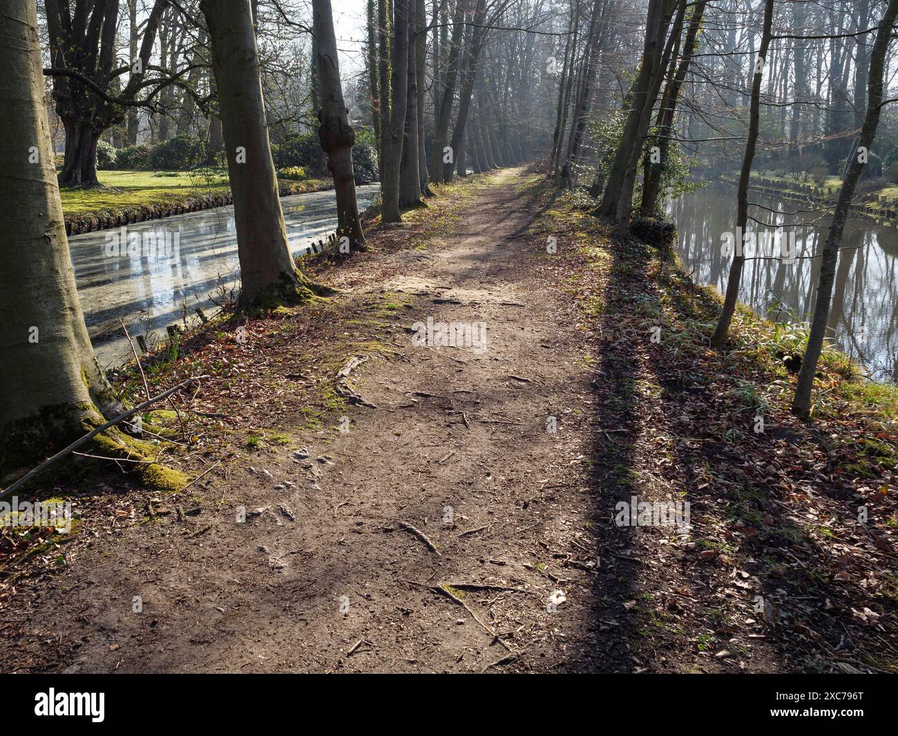 Long path forest between hi res stock photography and images Alamy Long path forest between hi res stock photography and images Alamy