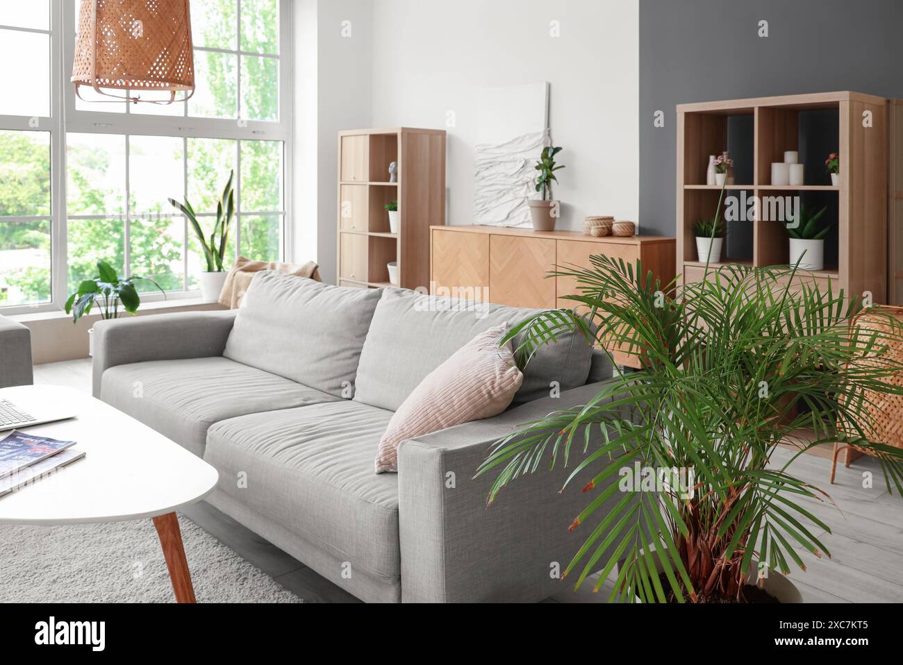 Interior of stylish living room with grey sofa and shelving units Stock ...