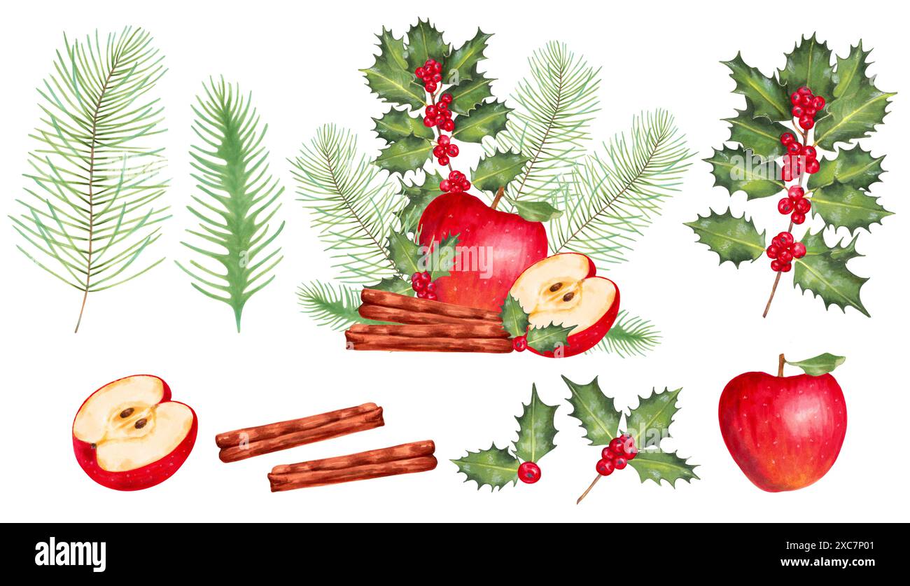 Christmas collection of red apple with pine and fir branches, holly ...