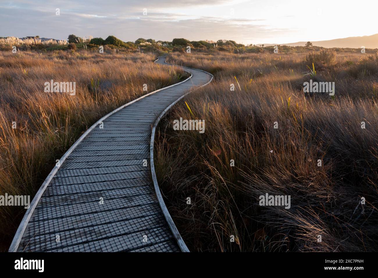 Otaihanga Estuary Walk On Waikanae River, Kapiti, New Zealand Stock 