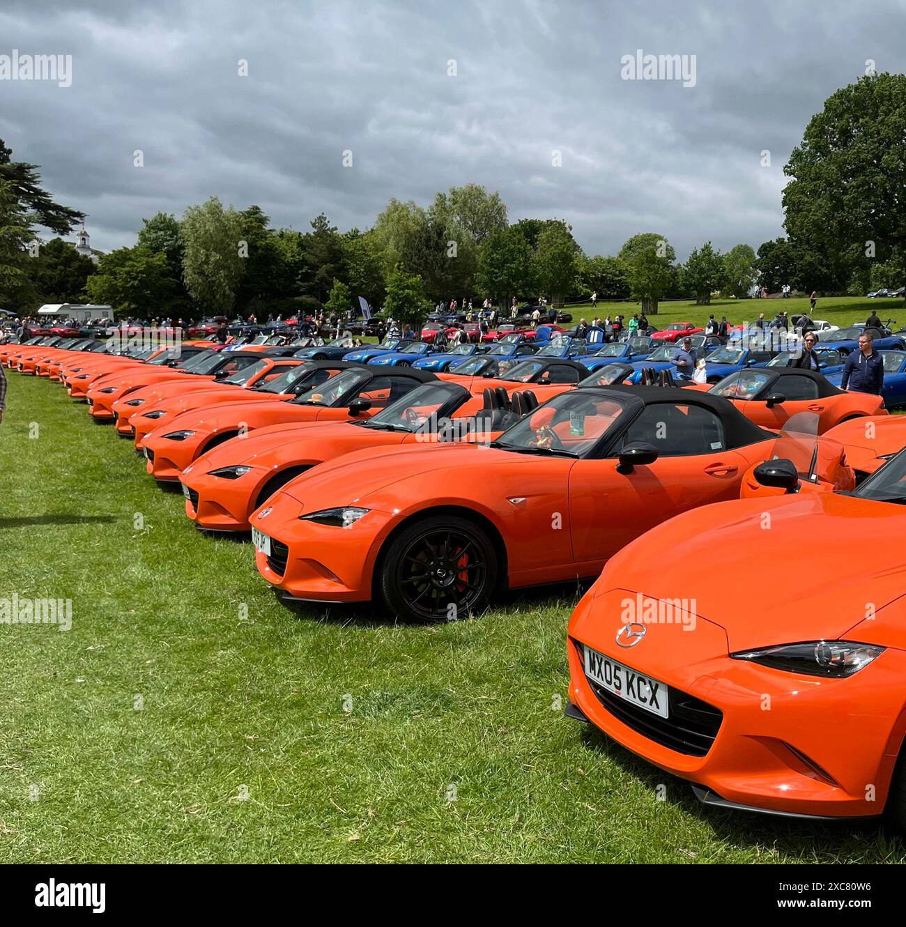 Mazda MX5 30th Anniversary row Stock Photo
