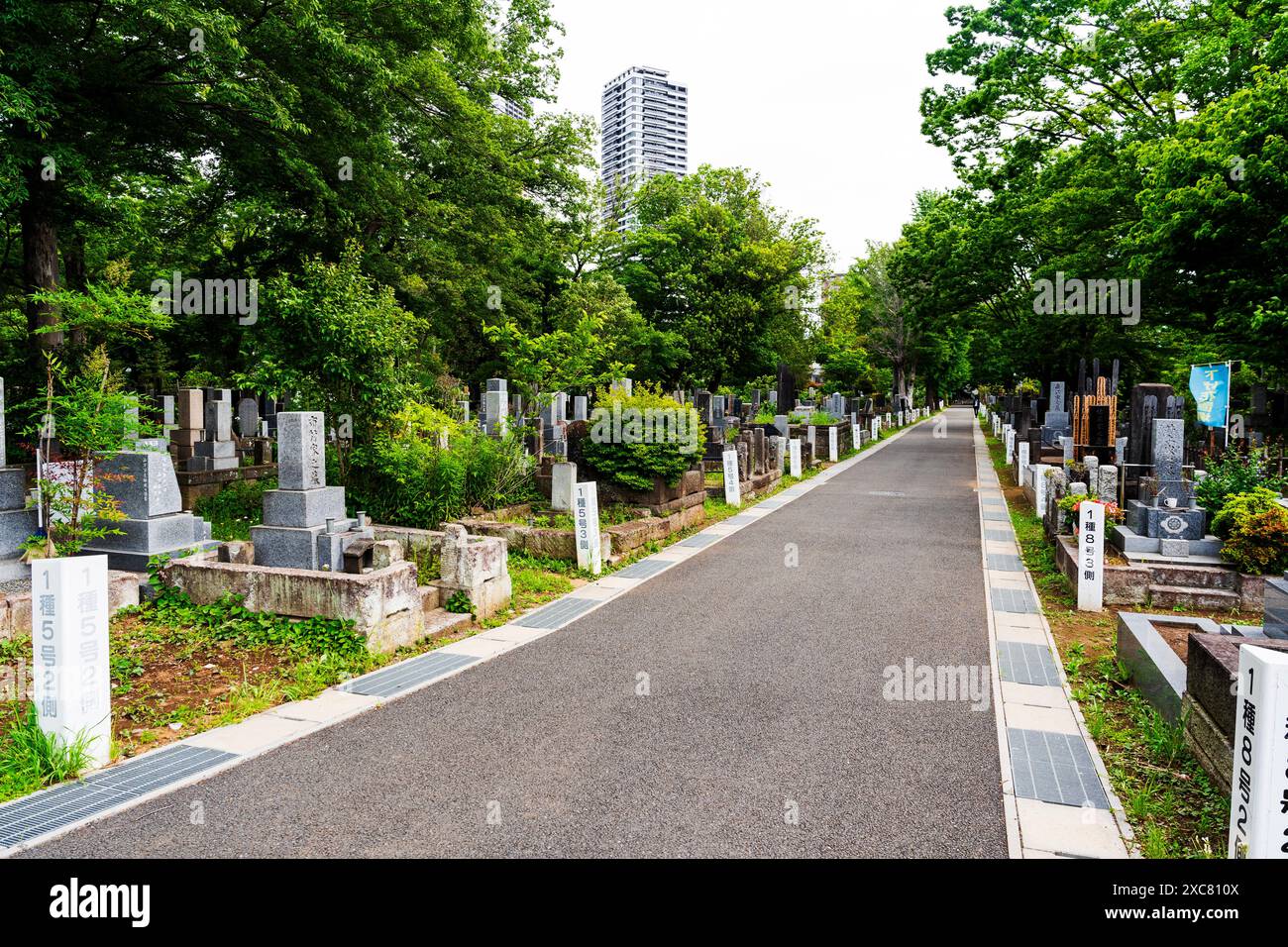 The Zoshigaya Cemetery, a public graveyard in Minami-Ikebukuro, Toshima ...