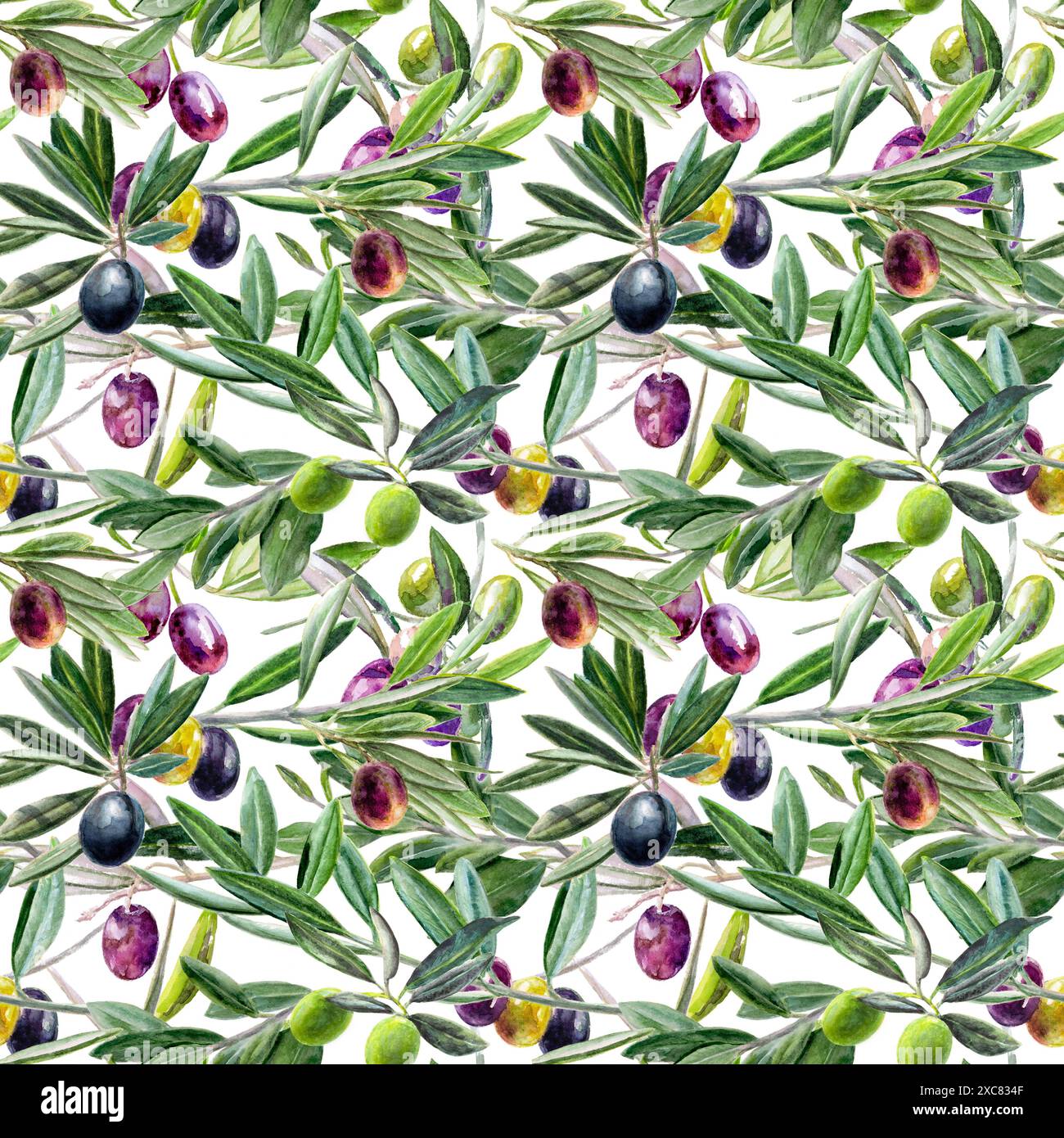 Watercolor Olives Branch Pattern with Seamless Green and Black Leaves ...