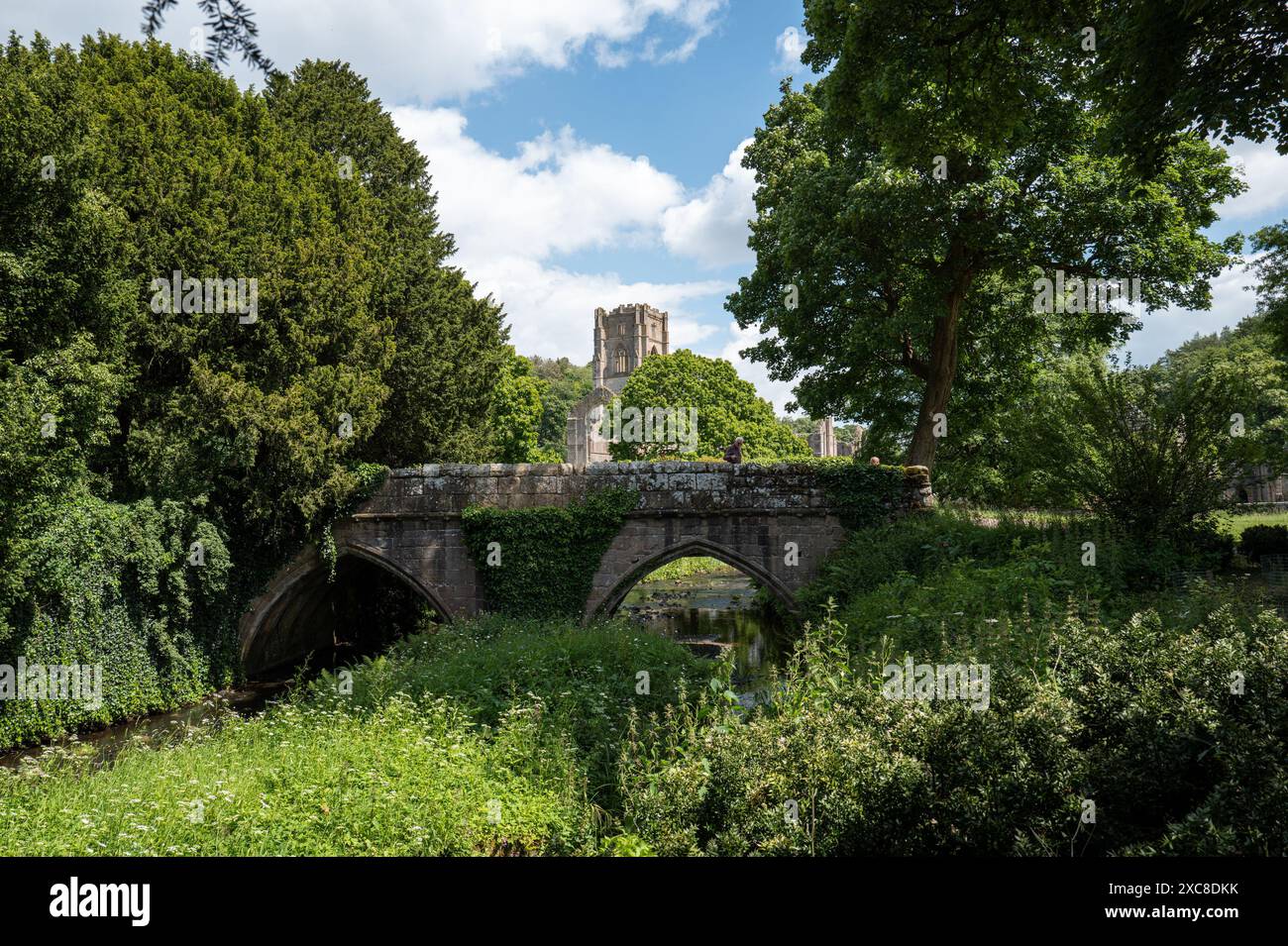 Arched stone bridge over the river skell with Fountains Abbey tower in ...