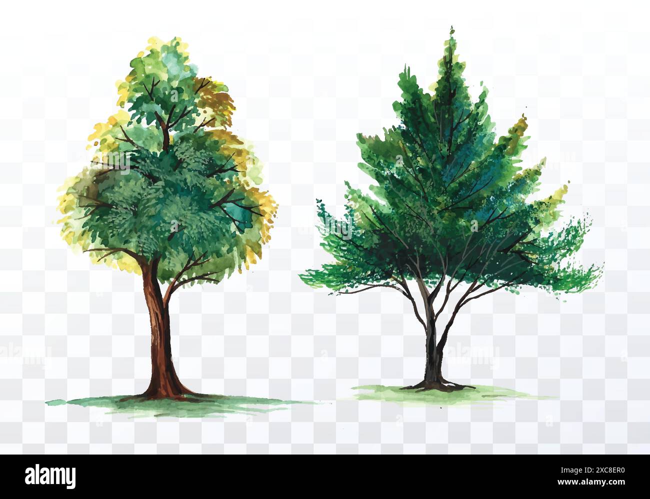 Set of various watercolor trees on transparent background Stock Vector