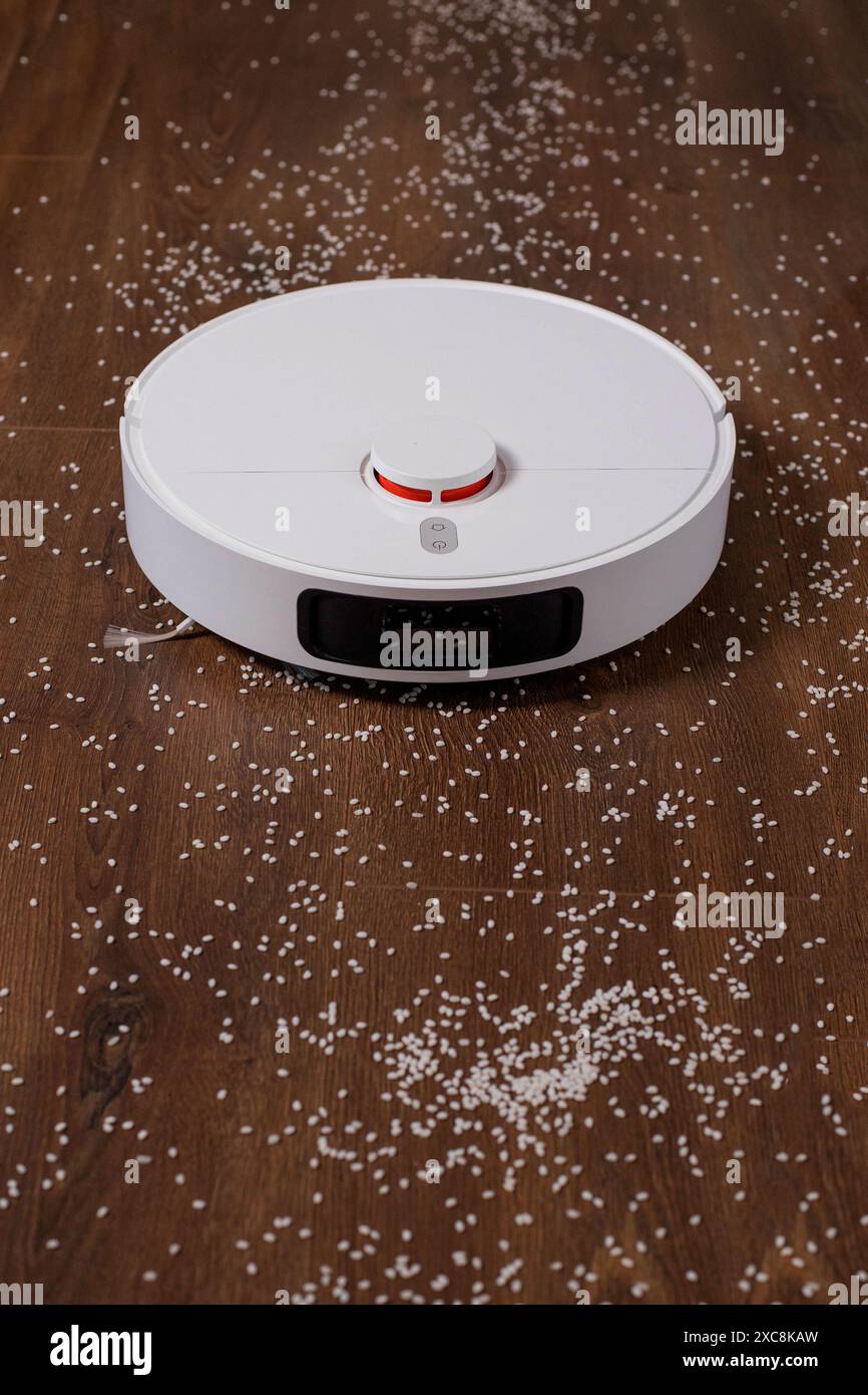 Efficient robotic vacuum cleaner cleans rice on the floor. Cleans