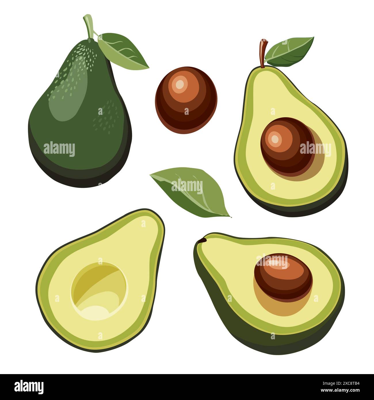 Set of fresh whole and half cut seedless green avocado and seed ...